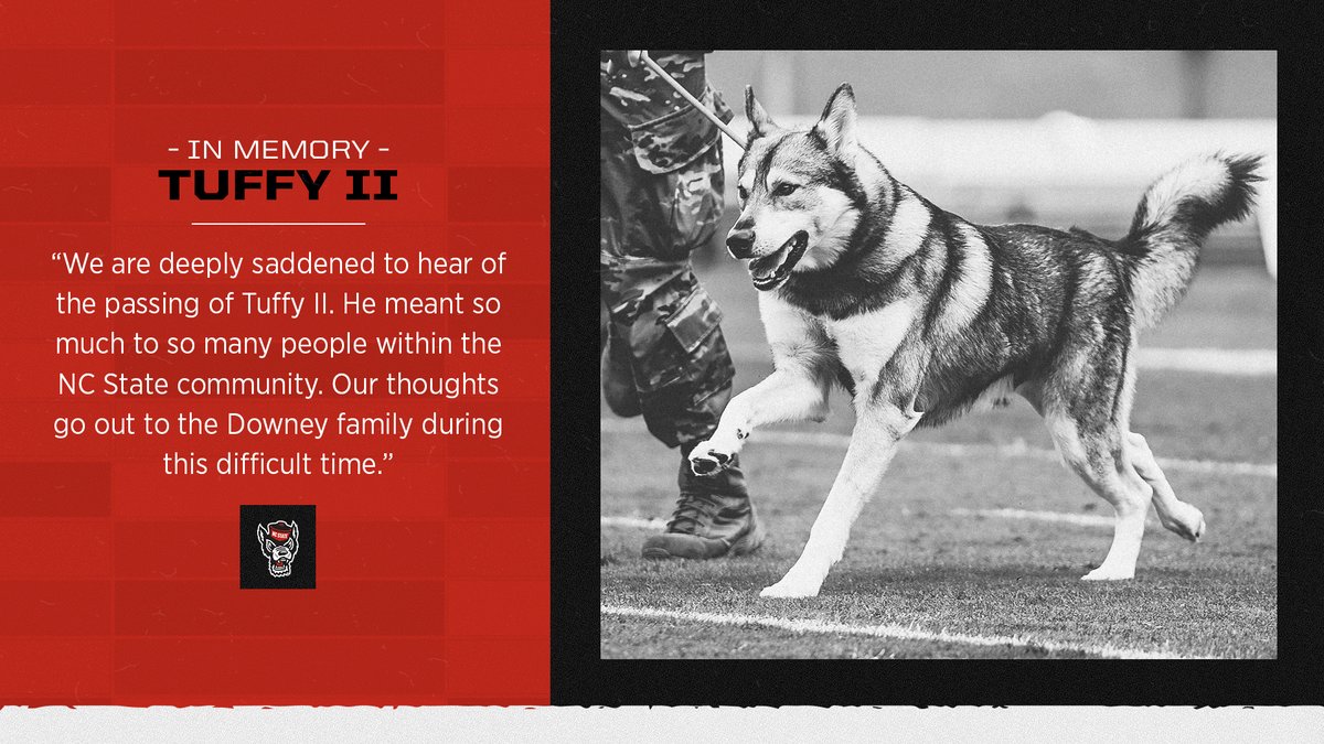 It is with deep sadness that we share that Tuffy II passed away in his sleep last night. Our thoughts are with the Downey family, Tuffy II left a lasting impact on the NC State community.