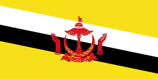  #Brunei Gold for all the wealth and prestige you can imagine. White for a peaceful nation.Black for a proud culture and people.A state that is religious but perhaps (red) brutal?