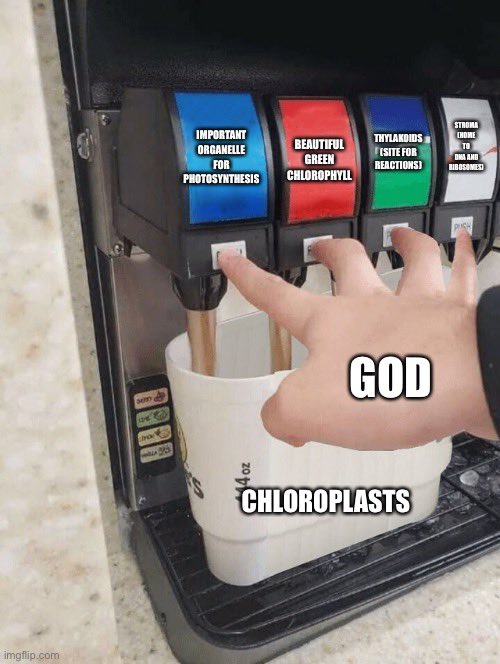 _mrchloroplast's tweet photo. God when He was creating chloroplasts @SICPLum https://t.co/Ef02sfYs4L