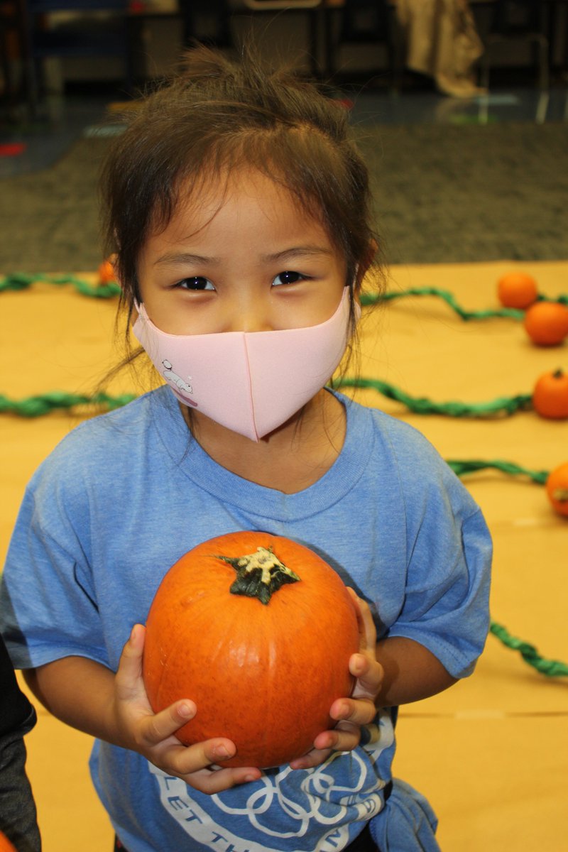 With the generous donation from Campbell Street <a href="/Walmart/">Walmart</a> we were able to give our kindergartens a one of a kind pumpkin patch! Thank you so much <a href="/DrCGlenn/">Christen Glenn</a>, <a href="/MrsBreedingArt/">Mrs. B</a>, Amanda Horton for creating a beautiful pumpkin patch for our class! <a href="/WilderSPS/">Wilder Elem. School</a> <a href="/officialSPS/">Springfield Public Schools</a> #WilderRocks