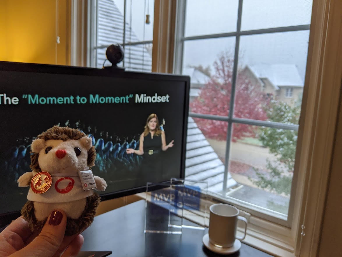 Experiencing virtual <a href="/Sitecore/">Sitecore</a> Symposium 2020 live from the snowy Chicagoland suburbs with my Sitecore hedgehog from last year #SitecoreSYM #WomenofSitecore #SitecoreMVP