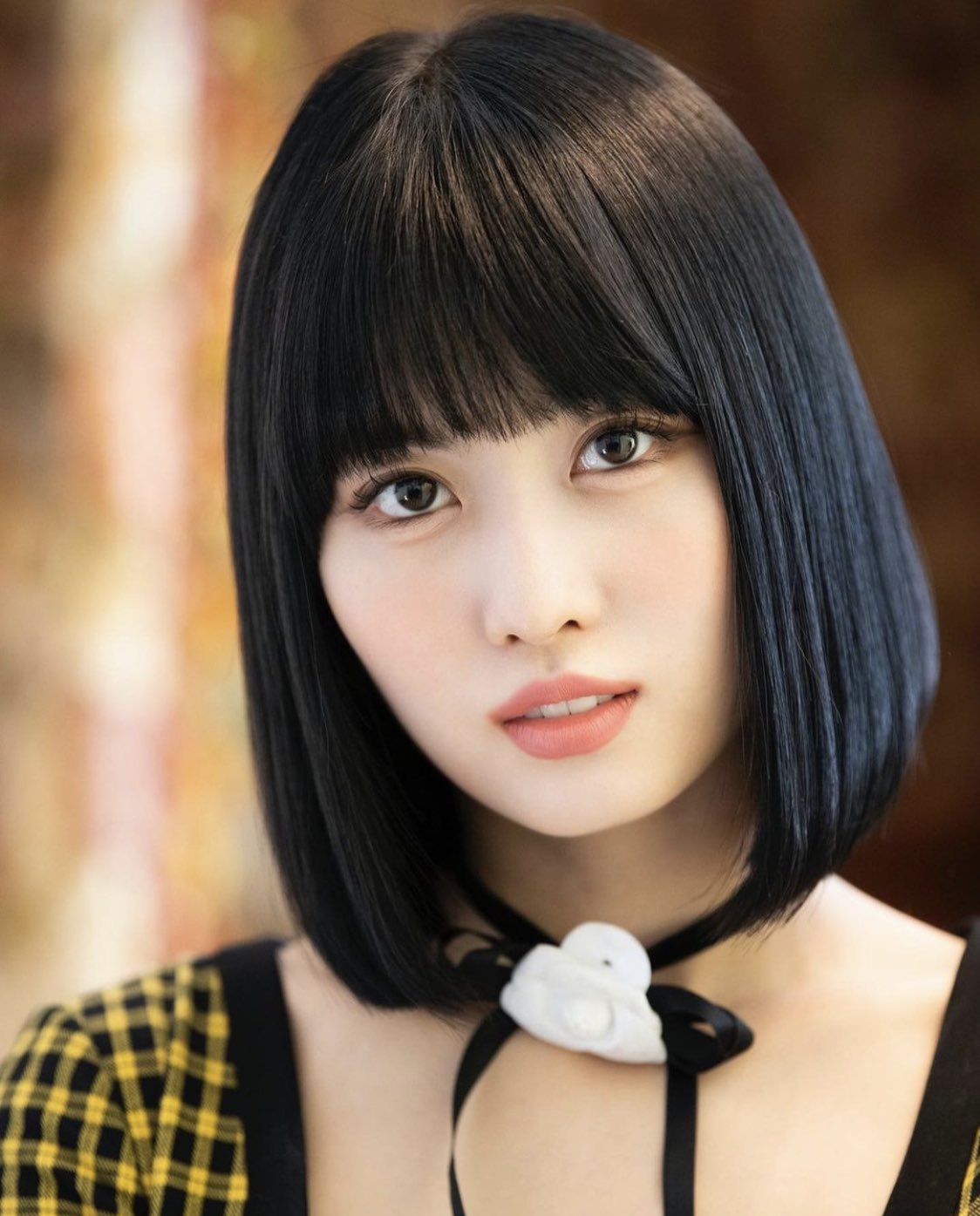 まりも ももりん Twice 트와이스 Momo 平井もも モモりん 모모