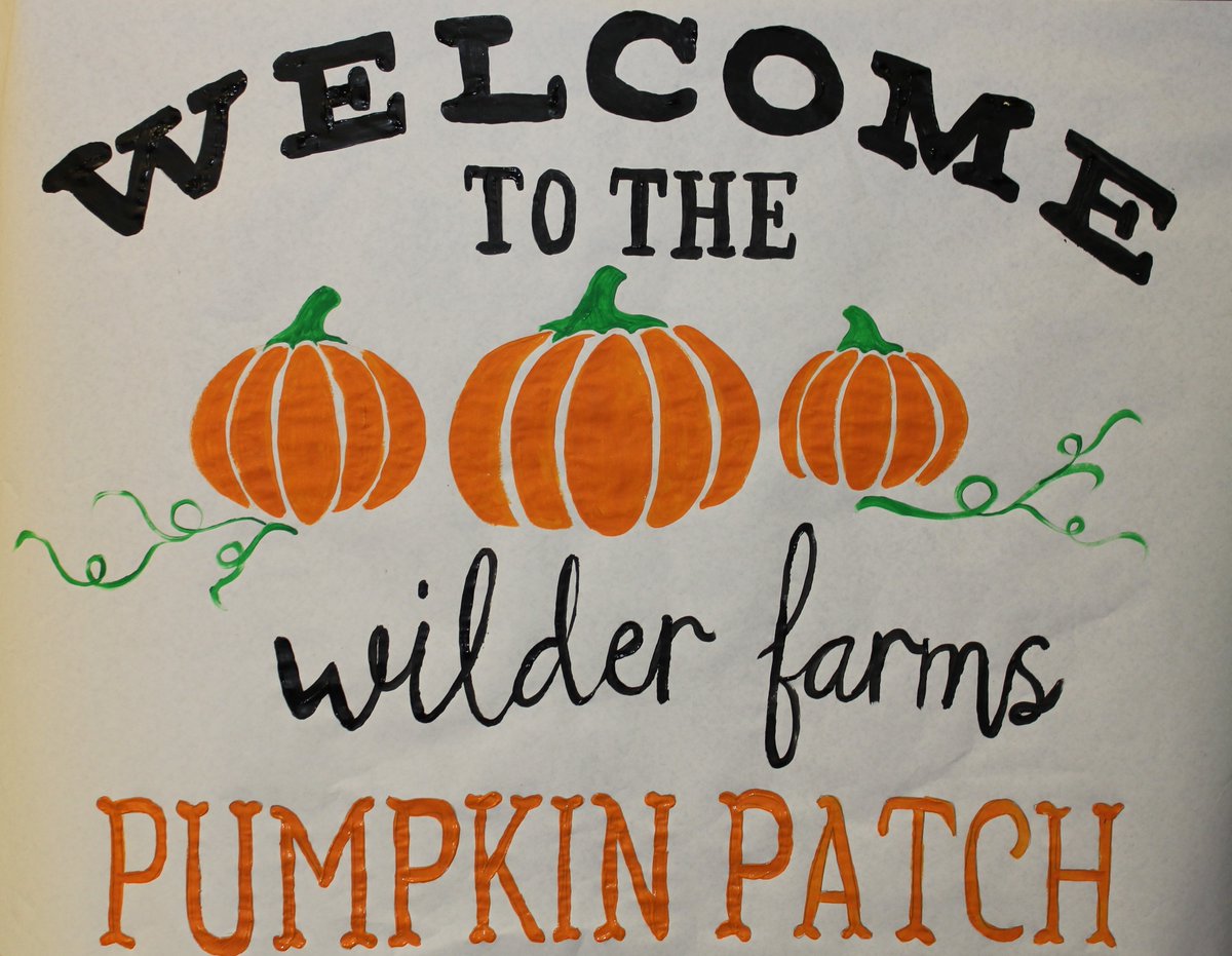 krysta_combs's tweet photo. With the generous donation from Campbell Street @Walmart we were able to give our kindergartens a one of a kind pumpkin patch! Thank you so much @DrCGlenn, @MrsBreedingArt, Amanda Horton for creating a beautiful pumpkin patch for our class! @WilderSPS @officialSPS #WilderRocks https://t.co/HLXcM0u40R