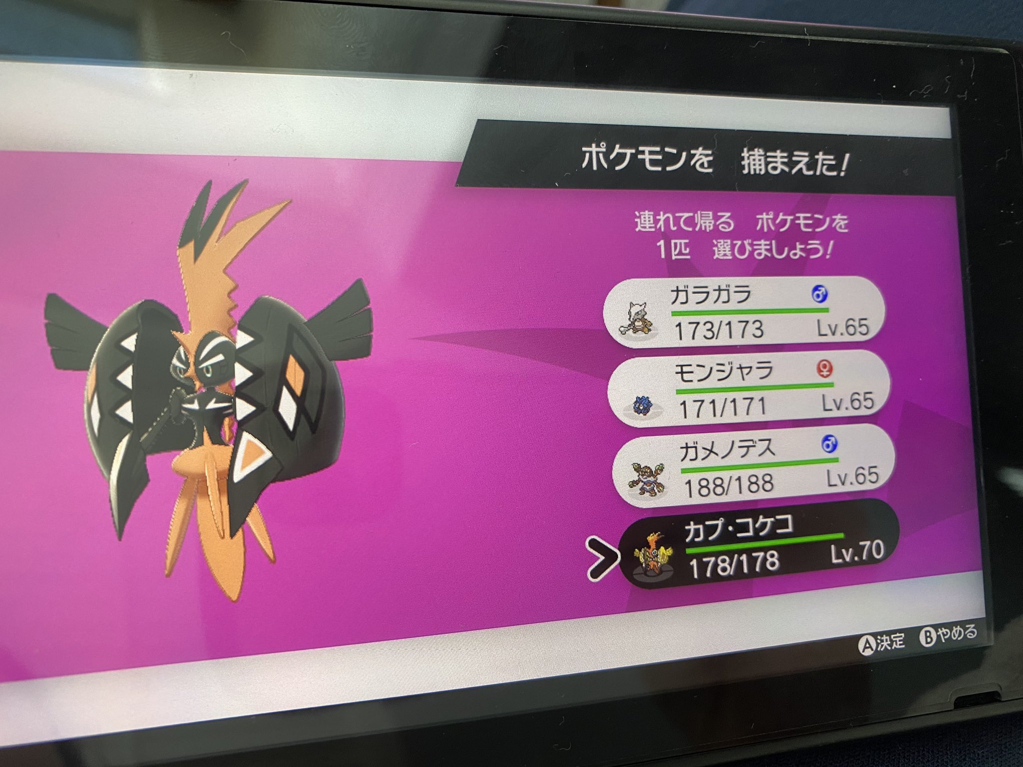 さいうん 10 26 約10回くらいで ポケモン剣盾 ダイマックスアドベンチャー 色違い カプコケコ T Co Kzmmdrs7qj Twitter