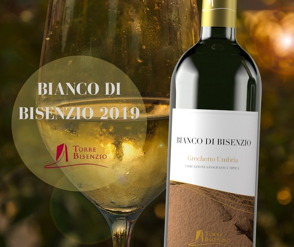 A Wine That Gives Expression to Millions of Years of History
👇 
Our Bianco di Bisenzio 2019
🇮🇹📜🥂
Can you see how we allude to the sperm whale skeleton in the soil on the Bianco di Bisenzio label❔
.
Why this is important?

➡️Follow us for more 
#Umbria 
#whitewine