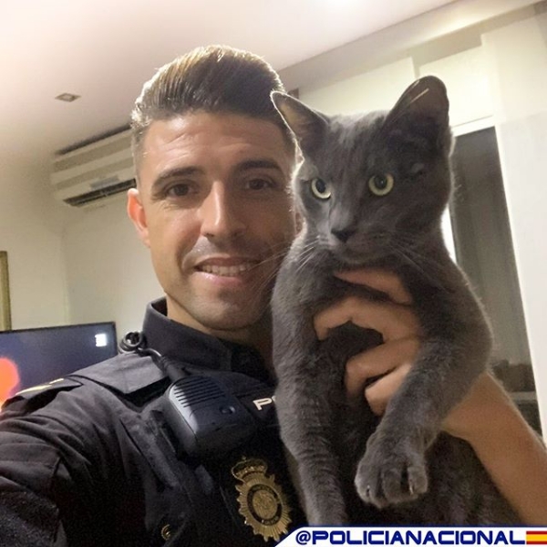 Tenemos el 💙 dividido... ¿Vosotros de cuál sois más?

RT🔃 PERRETES
LIKE❤️ GATETES

Mucho, mucho LOVE para todos ellos. Que nadie los maltrate. Nunca. We💙Animals