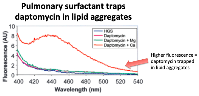 10/Why?Recall that daptomycin has a hydrophobic tail that allows it to insert into/disrupt phospholipid bacterial membranes (tweets 4,5). Pulmonary surfactant instead acts as a decoy for dapto, trapping it in lipid aggregates (at least in vitro).  https://pubmed.ncbi.nlm.nih.gov/15898002/ 