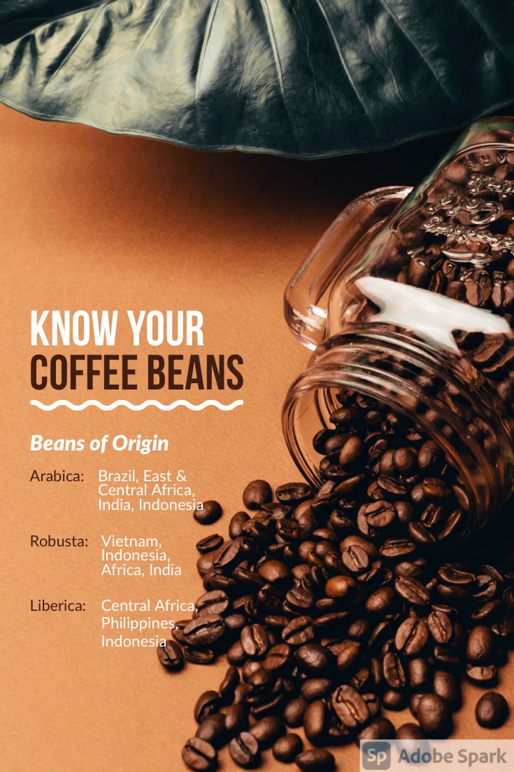 coffee_escobar's tweet photo. Coffee beans are different. #coffeebeans #knowyourbeans #arabicacoffee #robustacoffee #libericacoffee https://t.co/1kk1Bo2CpS