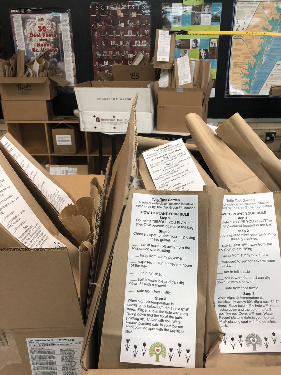 ogestem's tweet photo. Getting ready for the tulip test garden event tomorrow!#CitizenScience @journeynorthorg @DeKalbSchools @DCSDSTEM @CWATSONHARRIS https://t.co/WwF9AOl9Di