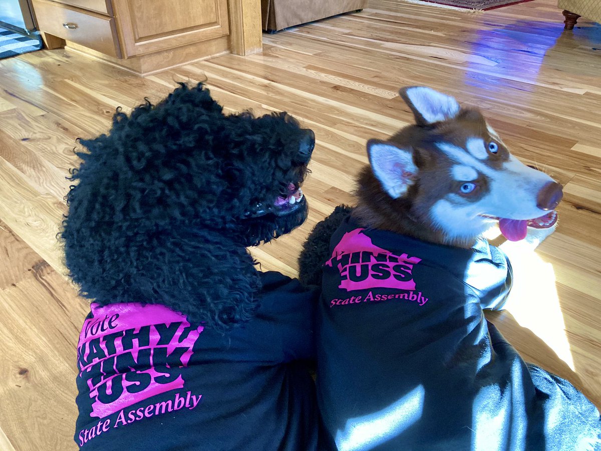 HinkfussforWI's tweet photo. They dressed themselves today 🐶 🐕 ⁣
⁣
And I think they’re trying to tell us something...⁣
⁣
GO VOTE 🗳 ⁣
⁣
#Hinkfussforassembly https://t.co/SwZQkgK4CS