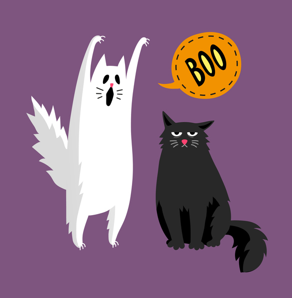 City_of_Airdrie's tweet photo. Ok all you ghoul cats and kittens, let’s talk about Halloween safety!🎃Drive slowly and watch for pedestrians.🎃Use crosswalks and wear bright reflective clothing.🎃Not feeling well? Stay home and don’t distribute treats.🎃Review @Albertans guidance at https://t.co/k12OuMMpxs https://t.co/yba1k0RA9y