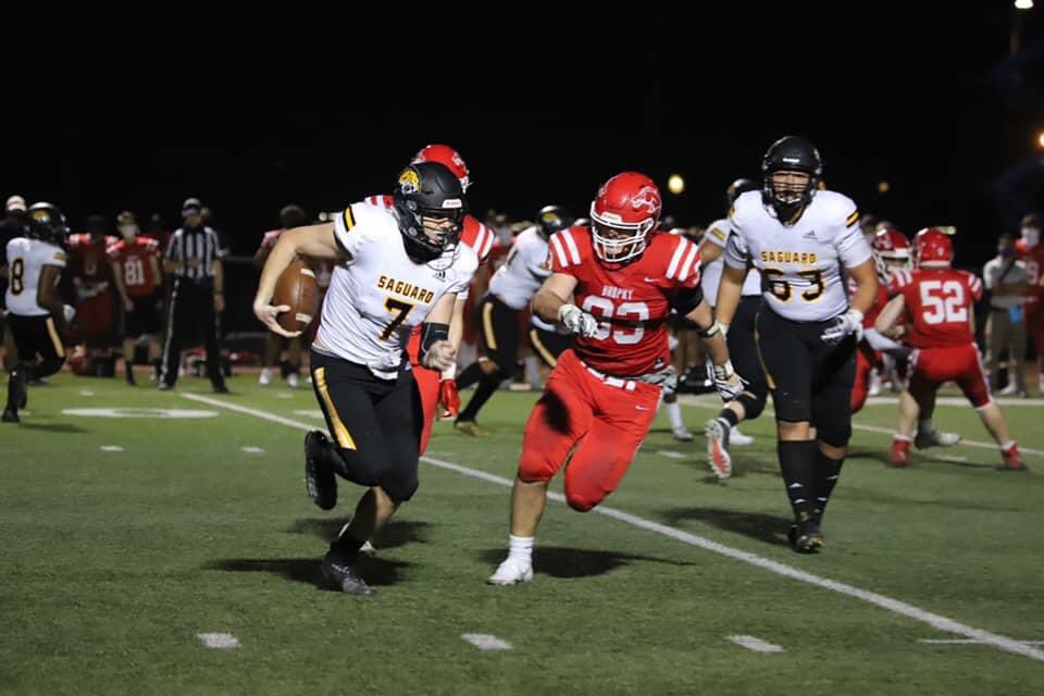 Sabercat Nation tweet media