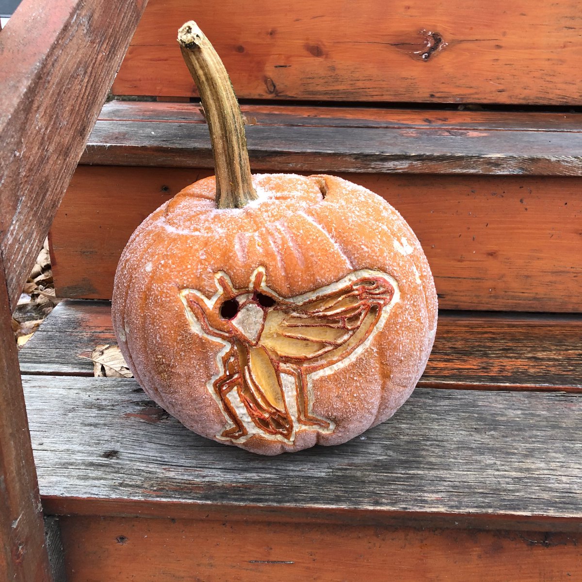 bugsabout1's tweet photo. It’s #showandtelltuesday with @EntSocBC This year, I wanted to go with something close to my ❤️ for my #pumpkincarving design: #leafhoppers. #ESBC2020 @TylerWist1 @USaskEnt https://t.co/oGgkxo5zmT