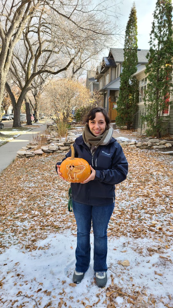bugsabout1's tweet photo. It’s #showandtelltuesday with @EntSocBC This year, I wanted to go with something close to my ❤️ for my #pumpkincarving design: #leafhoppers. #ESBC2020 @TylerWist1 @USaskEnt https://t.co/oGgkxo5zmT