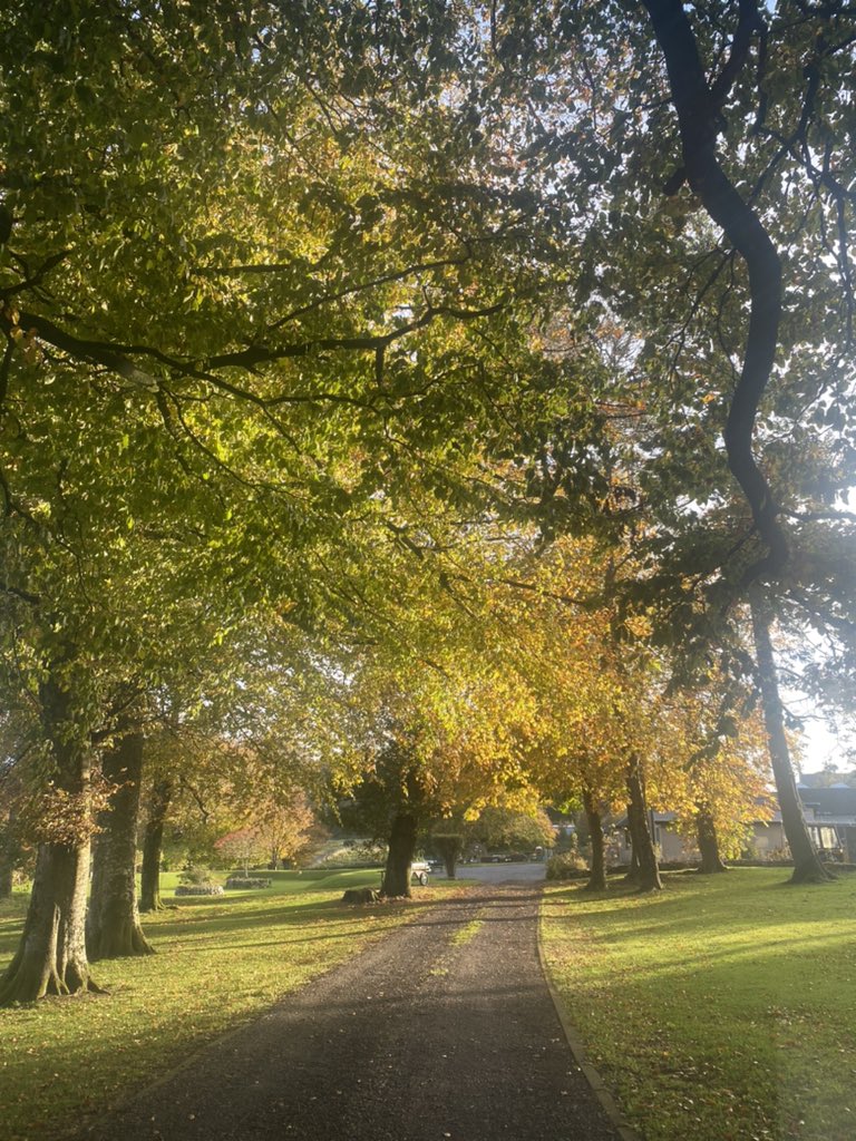 CarolAnnCurley's tweet photo. Beautiful afternoon @  #home https://t.co/5lW63wz3V4