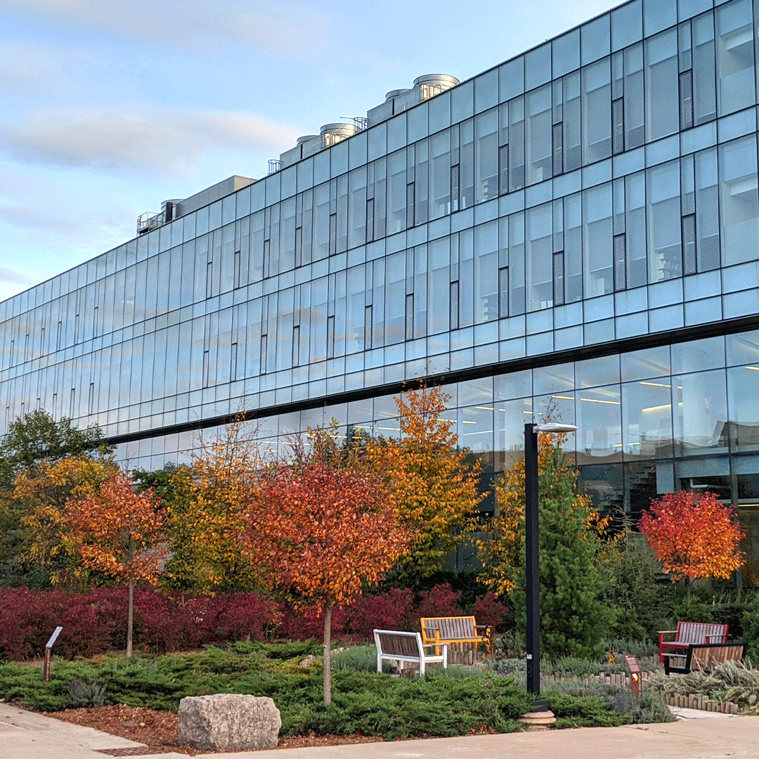 BrockUniversity's tweet photo. 🍂 FALLing for these autumn views at #BrockU. https://t.co/6SwbT2Oy3l