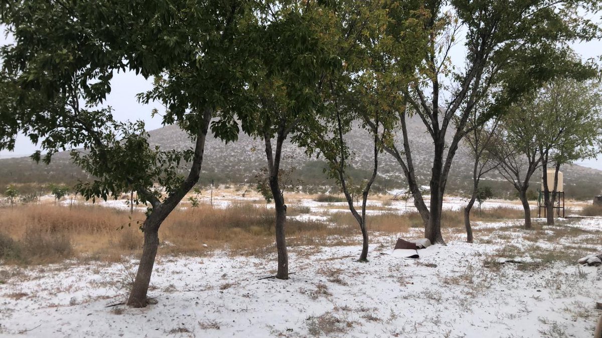 ClimaChihuahua1's tweet photo. Así las Nevadas en los municipios al Extremo Noroeste del Estado de #Chihuahua #Janos y #Ascension https://t.co/DVwhfzUK7l