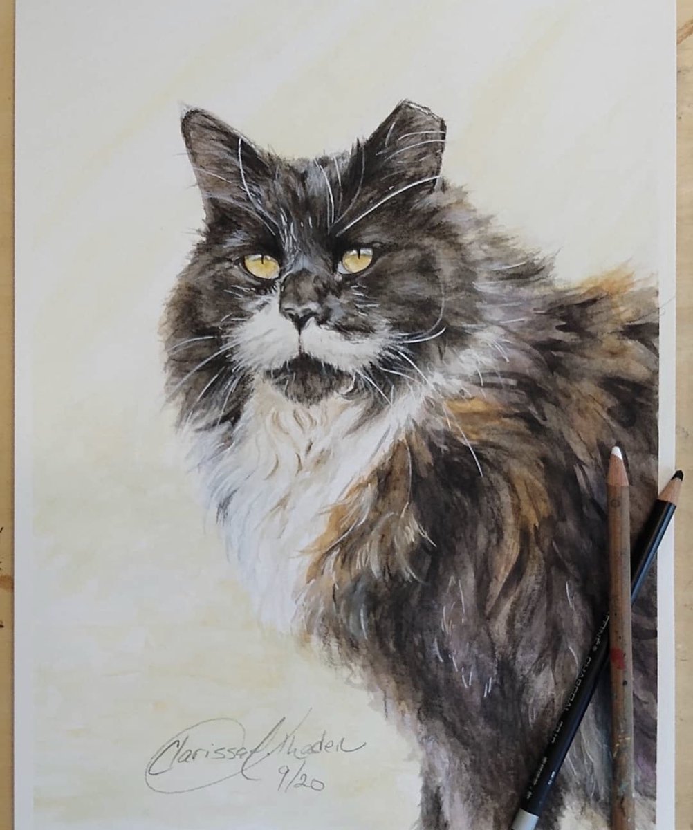 HockhocksonFarm's tweet photo. We couldn’t believe our eyes when we saw Clarissa Thaden’s portrait of our beloved Zorp! She breathtakingly captured his soul through her art! We will forever cherish this magnificent work! Find her portfolio on her website: https://t.co/RAMzI0GGfg

#art #artappreciation https://t.co/wx39cR8gMT