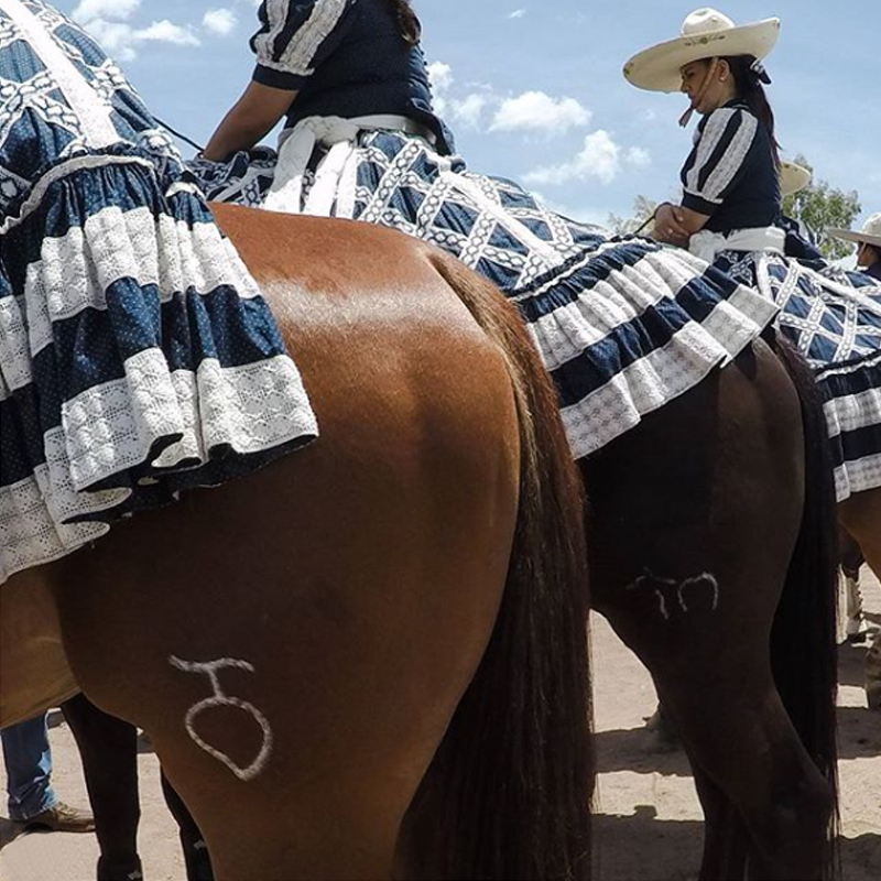 Alteñitas en el Lienzo