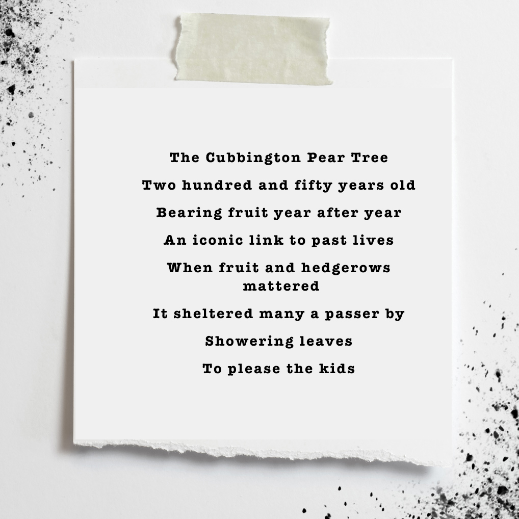 BoyExistential's tweet photo. New poem about  The Cubbington Pear 'at a time when this country is so off track, Struggling to feed its kids'.  @ChrisGPackham we're with you.  @stophs2 https://t.co/vxbPYvTTH9