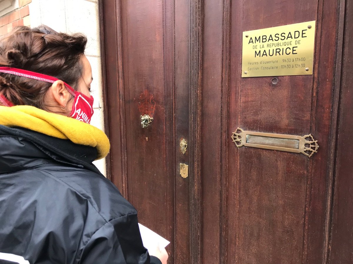 Animal Rights Belgium and Animal Rights Netherlands delivering letter to the Embassy of Mauritius in Brussels. 