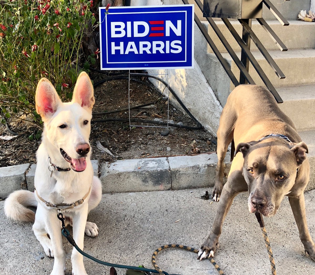 ⬅️ hopeful yet apprehensive ➡️