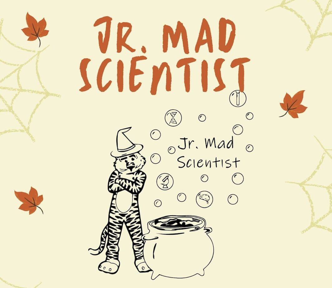 COSAM STEM Outreach tweet media