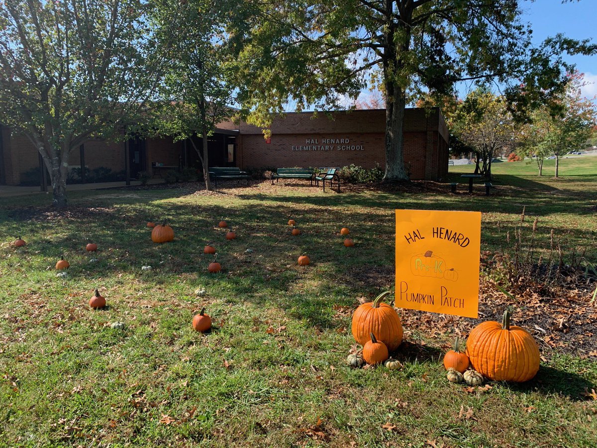 amy_haynie's tweet photo. @HalHenard PreK students went on a “field trip” to the Hal Henard Pumpkin Patch today! They can tell you all about what you can do with the seeds! #findingjoyinlearning https://t.co/aKzP2g77G7