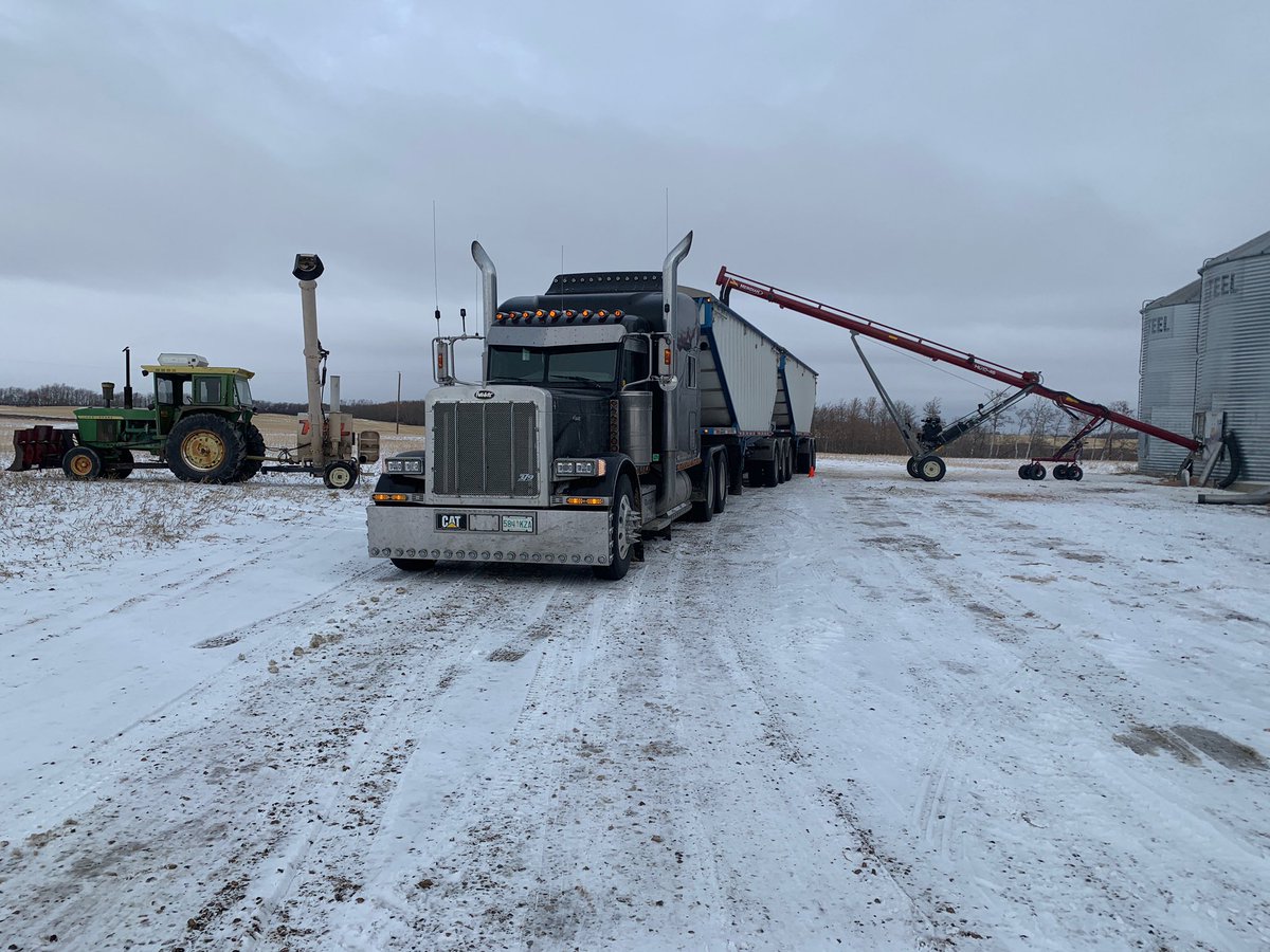AnnaGrisnich's tweet photo. 5 loads out of canola before noon. Go @GrisnichRonny #winterloading #truckingcanola #highway16transport #notagreatcanolaprice https://t.co/67xs3piVAb