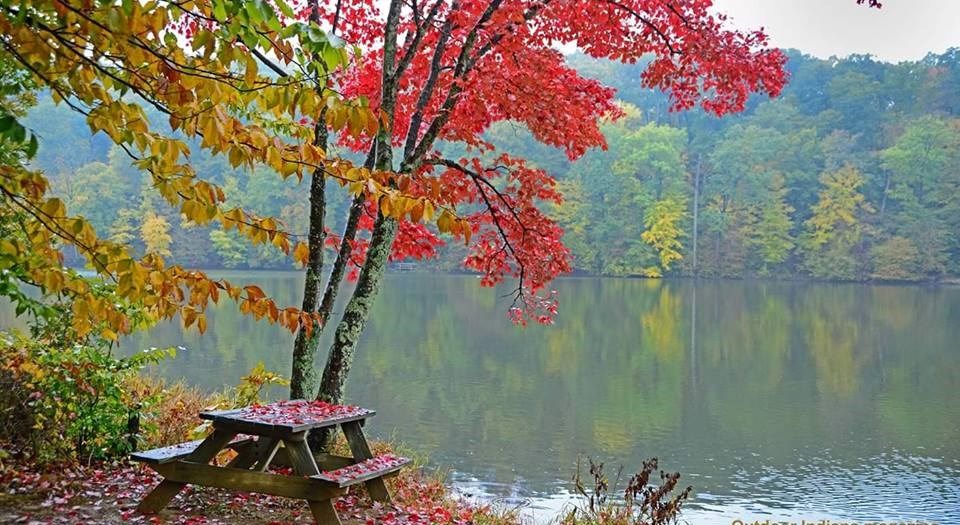 VisitIndiana's tweet photo. After your fall adventure at our amazing @INDNRstateparks, thereβs an "ahhhh" moment waiting for you at the seven State Park Inns! Each Inn is nestled in a scenic setting that will seem like a fall paradise. π
Read More: https://t.co/dOmaNZp7vX
#INFallRoadTrips @INdnrnews https://t.co/IIxuvYLI0p