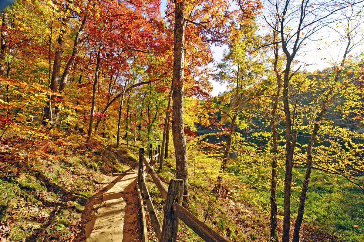 VisitIndiana's tweet photo. After your fall adventure at our amazing @INDNRstateparks, thereβs an "ahhhh" moment waiting for you at the seven State Park Inns! Each Inn is nestled in a scenic setting that will seem like a fall paradise. π
Read More: https://t.co/dOmaNZp7vX
#INFallRoadTrips @INdnrnews https://t.co/IIxuvYLI0p