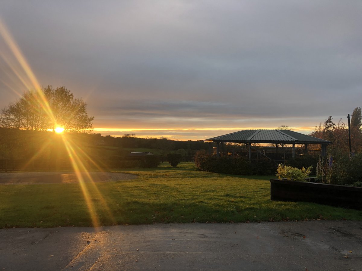 Longholes tweet media