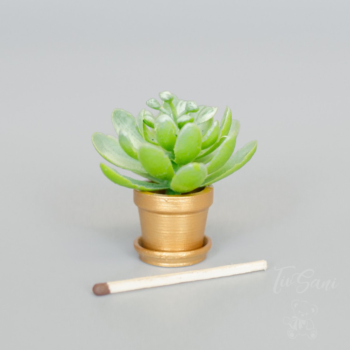 HMThingsPlace's tweet photo. 5 tiny classic pots gold color with saucers without flowers for miniature artificial flowers, planters, dollhouse, fairy garden mini flowers #miniatureflowerpot #miniatureplantpots #miniaturetreepot #smallplanterset https://t.co/4k1lQcLjd2 #dollhousepot https://t.co/j1juVudr7R