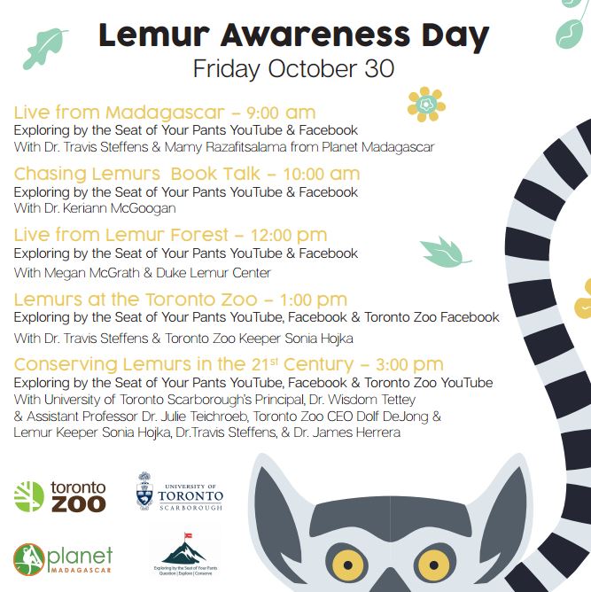 TheTorontoZoo's tweet photo. Celebrate #WorldLemurDay with us on Friday, October 30! Join us all day long for fun virtual programming with our partners @PlanetMada @UTSC and @EBTSOYP 🐒 https://t.co/xU6nJxhzUT
