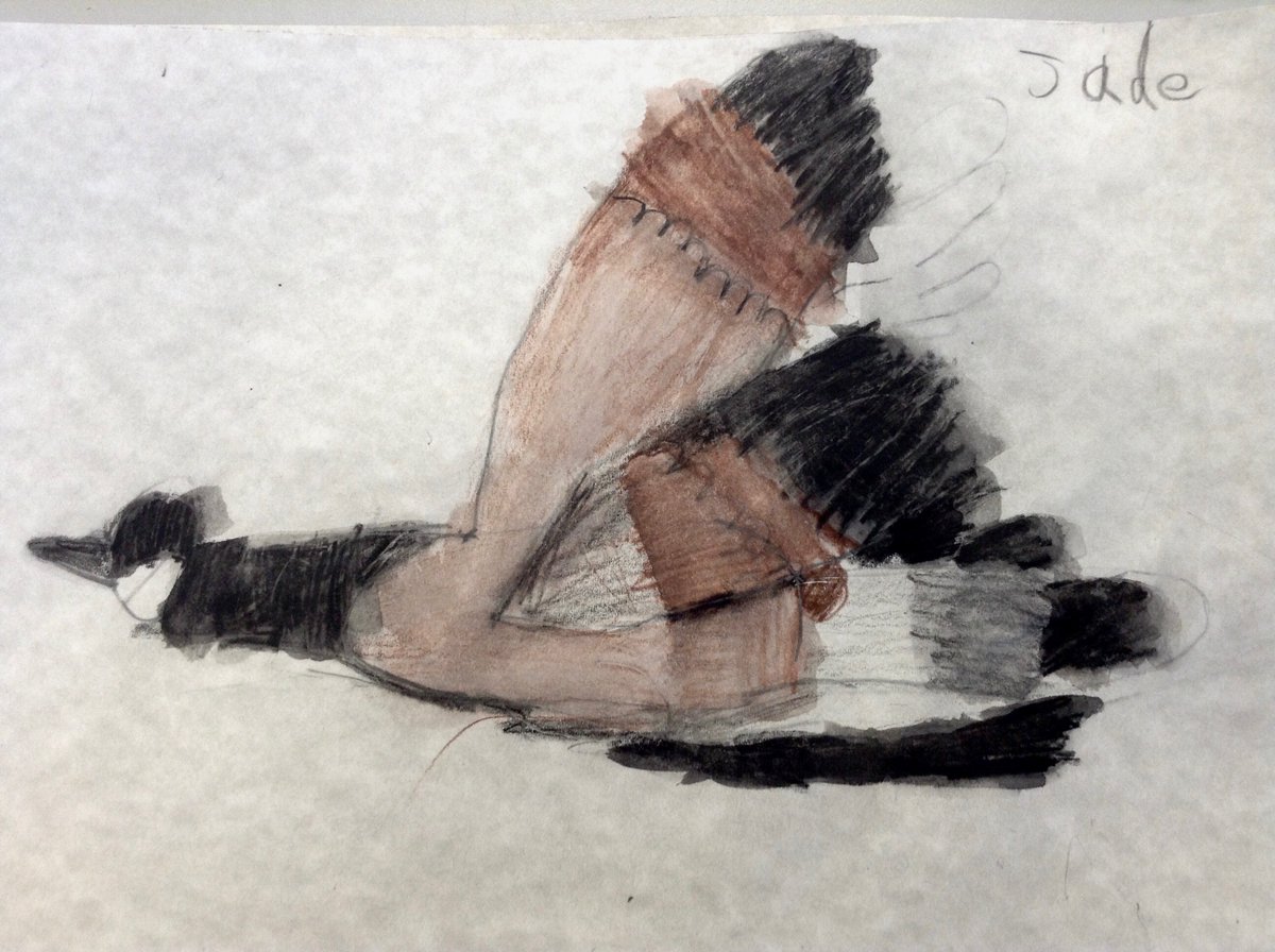 Ms_C_Dickson's tweet photo. Gr1 Fine Art: Some Canada 'Geese' from Ms. M's class were spotted flying south for the winter. (Students used pencil and watercolour pencil in a step=by-step draw and colour activity) #EdgemontStrong @EdgemontCBE https://t.co/RRywlFOSK4