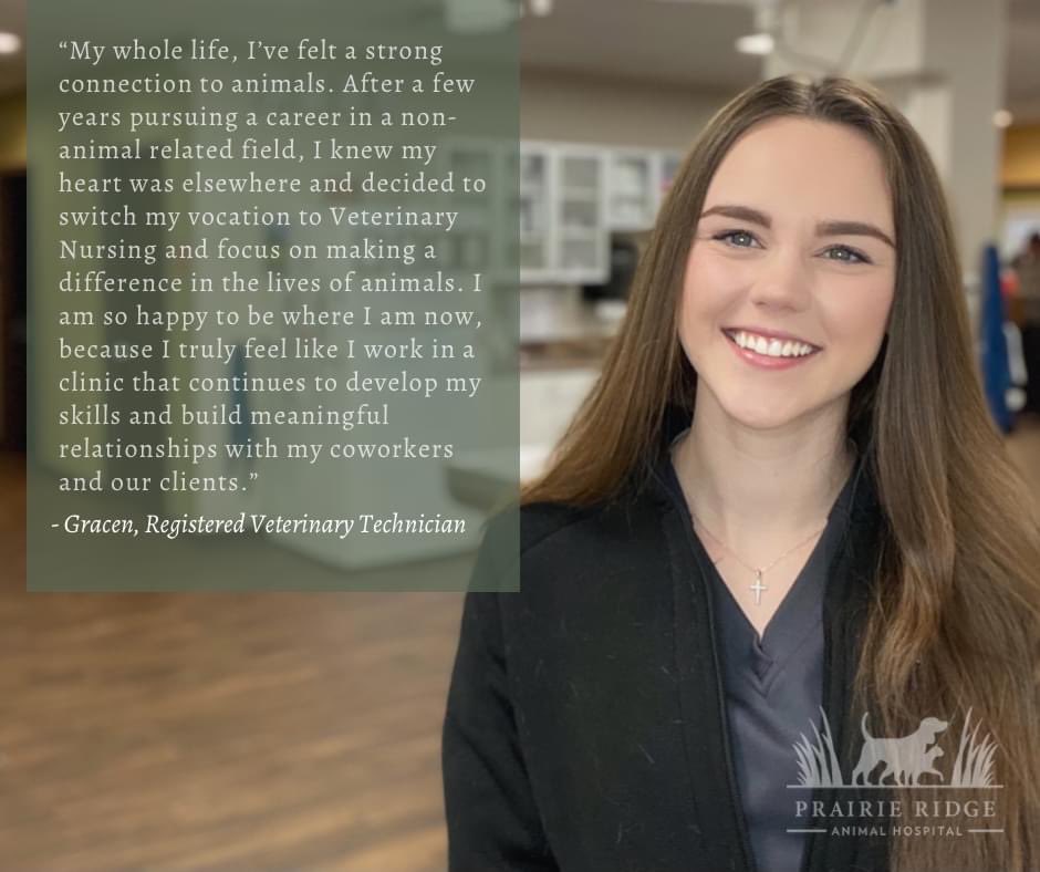 Prairie Ridge Animal Hospital tweet media