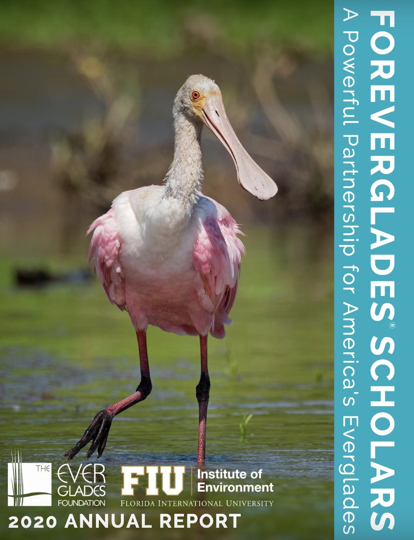 We're highlighting successes + challenges in  @EvergladesNPS restoration efforts and featuring students who are driving change in this year's  @FIUEnvironment  @evergfoundation impact report:  https://issuu.com/fiupublications/docs/fiu_impact_report-fiu_version?fr=sNGM1MDEyMjEwNA