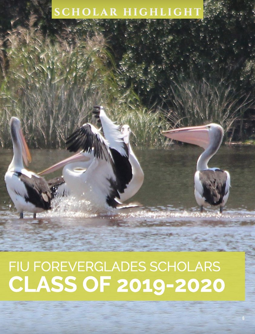 We're highlighting successes + challenges in  @EvergladesNPS restoration efforts and featuring students who are driving change in this year's  @FIUEnvironment  @evergfoundation impact report:  https://issuu.com/fiupublications/docs/fiu_impact_report-fiu_version?fr=sNGM1MDEyMjEwNA