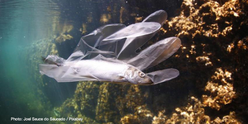 New IUCN report warns of 100% increase in Mediterranean #plastic leakage by 2040 unless significant measures are taken ow.ly/snMH50C3Nvz #ClosethePlasticTap <a href="/IUCN_Med/">IUCN Centre for Mediterranean Cooperation 🌿</a> <a href="/IUCN_Plastics/">IUCN Plastics</a>