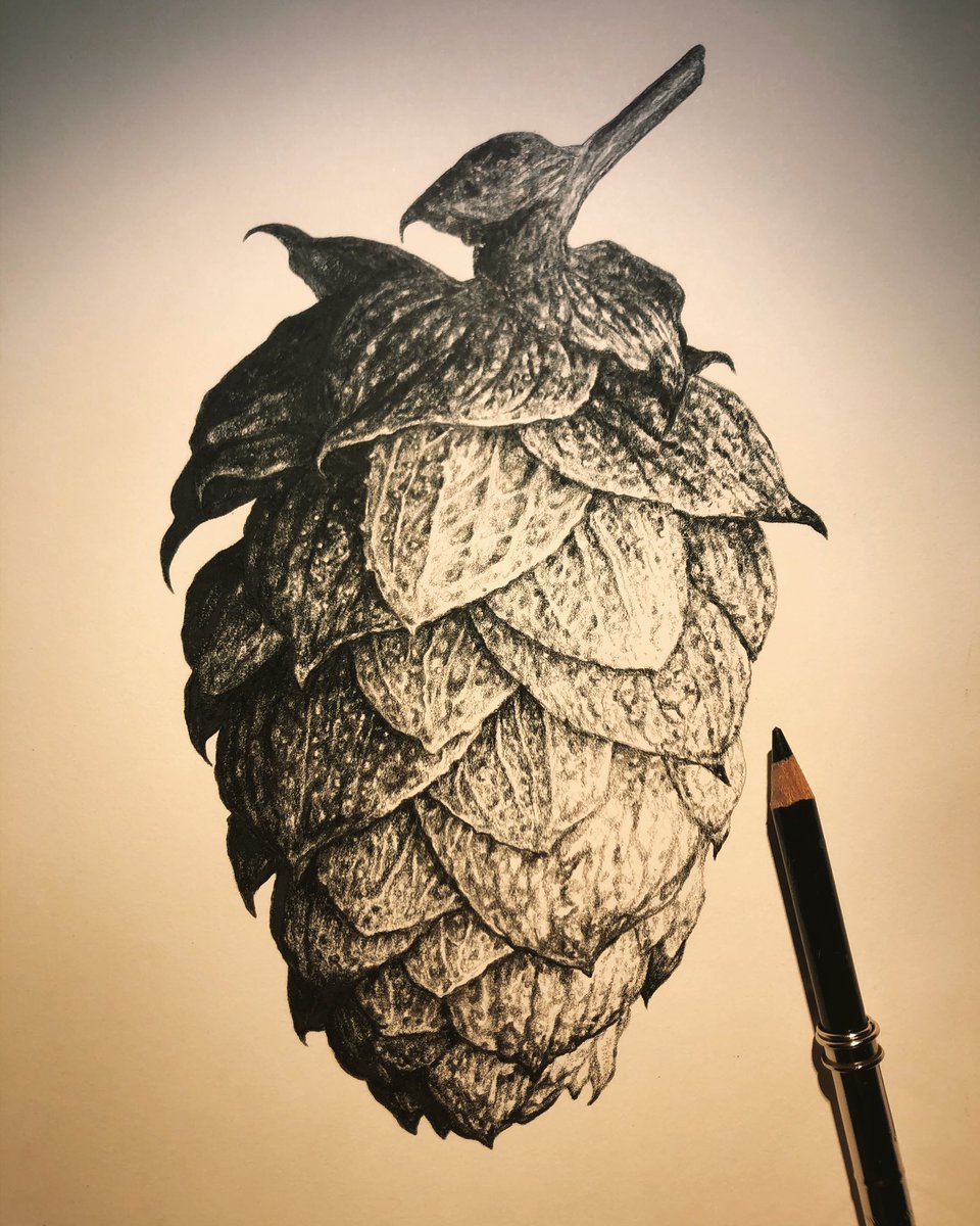 waxyredcrayon's tweet photo. Finished this hop cone illustration last night. Thinking of entering it in the @LakeCountryArtG Under 100 Exhibition & Sale next month.
#illustration #drawing #blackpencil #pencildrawing #pencilart #hops #hopcone #beerart #okanaganartists #bcartist #babybeer #drawtober https://t.co/aM37wR505v