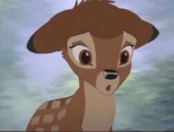 jungkook as bambi - a devastating thread: