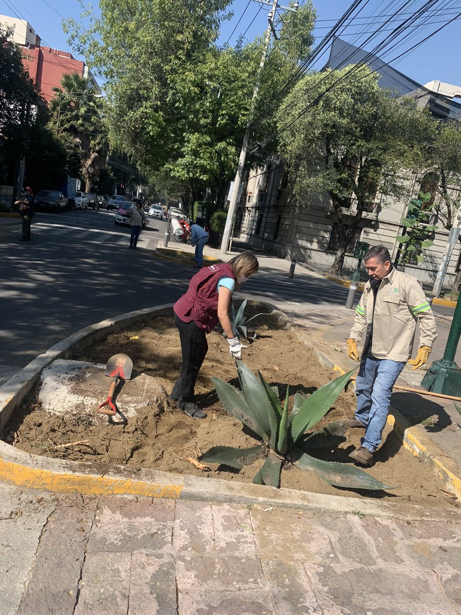 pzaluiscabrera's tweet photo. ‼️GRACIAS ‼️ @nenulo @ErnestoP_C @AlcCuauhtemocMx @PaolAcesa @DTRC_AlcCuau  mejorar un sitio , sea cual sea el momento y el turbio antecedente , será agradecido y apreciado por quienes amamos nuestro entorno ! Gracias , gracias ! 🤜🏻🤛🏻 https://t.co/nfMNPh6vy0