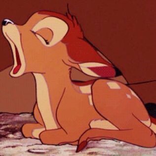 jungkook as bambi - a devastating thread: