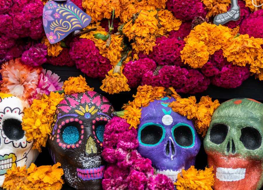 fimlabmx's tweet photo. En estas fechas dedicadas a los que han fallecido, recordémoslos con gusto y en su honor busquemos tener una vida plena, lejos de problemas emocionales.

Te compartimos esta entrada: https://t.co/eJcL2gPnIK

#DíaDeMuertos #Fimlabmx #Blog https://t.co/95DcXq5OdD