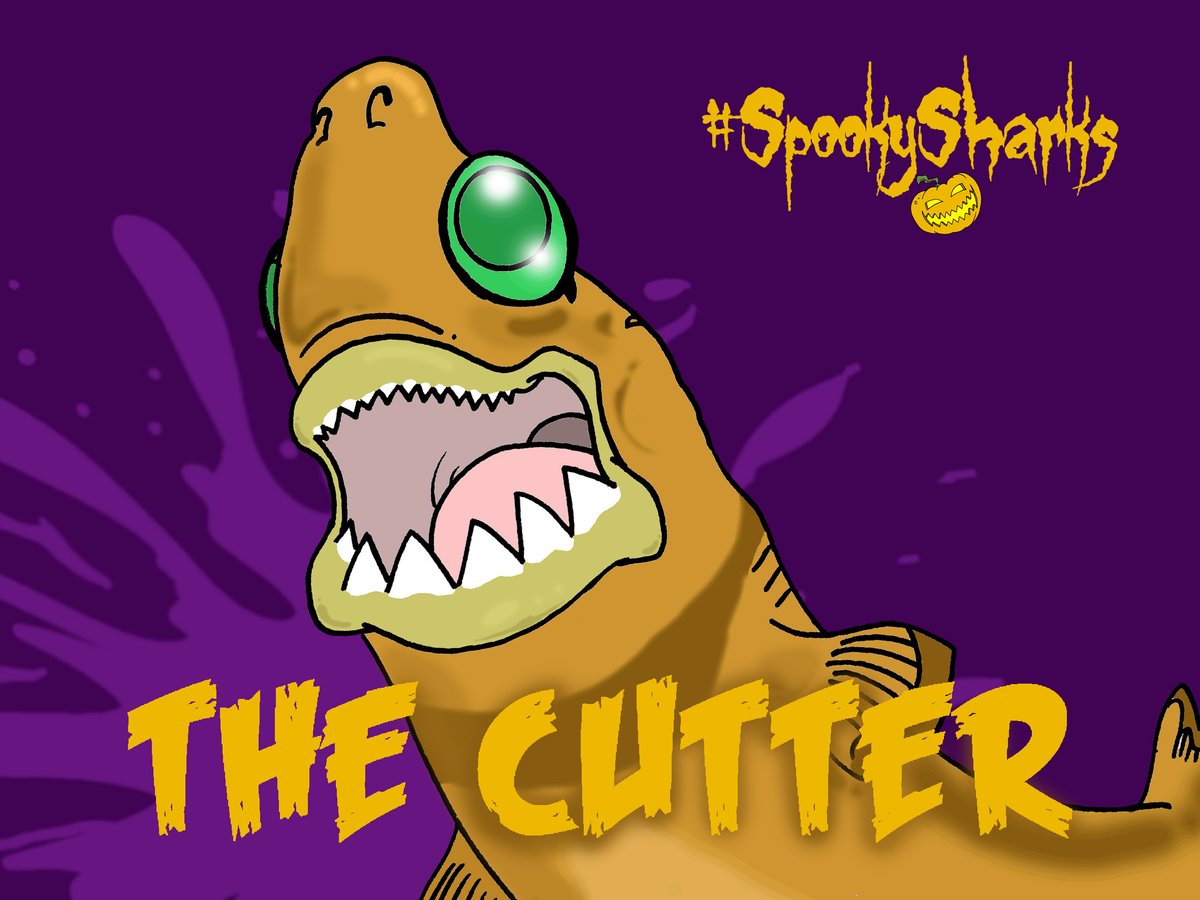 LivingWorldEdu's tweet photo. The #cookiecutter shark lurks in the deep and targets creatures that it bites with triangular teeth, removing circular chunks of flesh - definitely one for #SpookySharks!
@LivingWorldEdu @Sharks4Kids
#Halloween2020 #sharks #cookiecuttershark #jaws #teeth
#spooky https://t.co/gwfksyqb1S