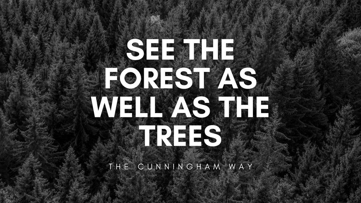 When it comes to strategy, you have to see the forest as well as the trees. You must understand the end goal as well as the necessary steps to get you there. Strategy is about being a big picture thinker &amp; a detail oriented executor at the same time. 

That's the Cunningham Way.