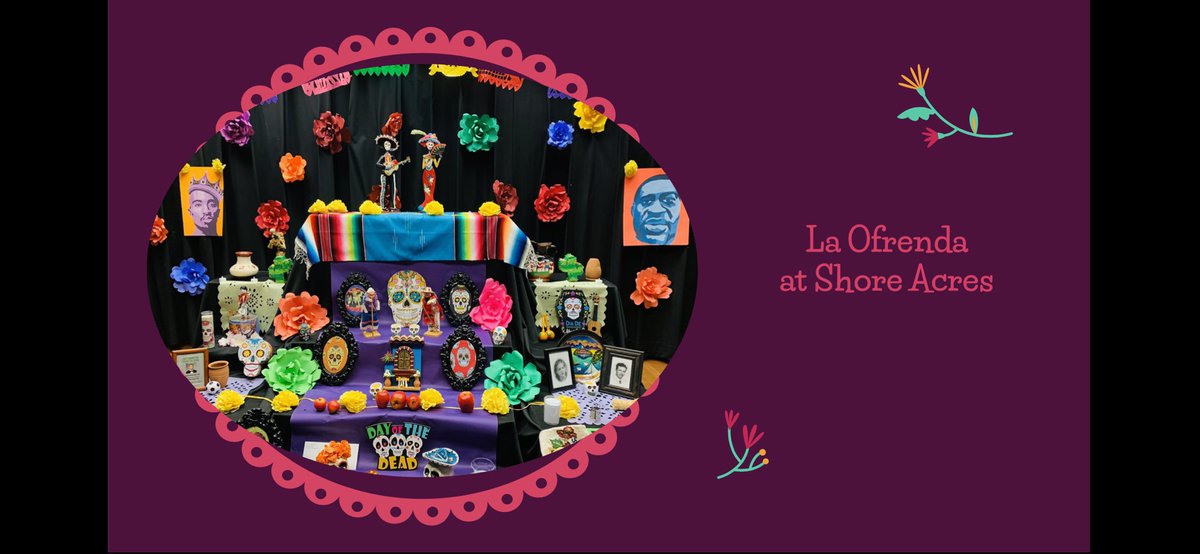 ShoreAcresMDUSD's tweet photo. Celebrate and learn about the tradition of Day of the Dead.  For generations, this day has been a source of cultural strength and healing. Our Shore Acres ofrenda is created by our school community and this year it is dedicated to families who have lost loved ones to Covid-19. 🌸 https://t.co/boxMR9PCX5