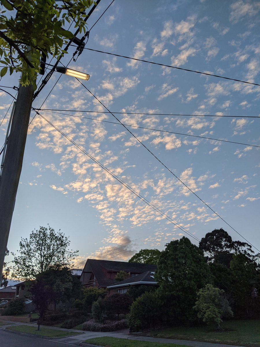 VicCanBioinf's tweet image. Today is a great day to have a symposium. Don&apos;t forget to use #vcbs2020 and tag our account. Are you ready? Good morning Victoria. #ThePlaceToBe #TheEducationState