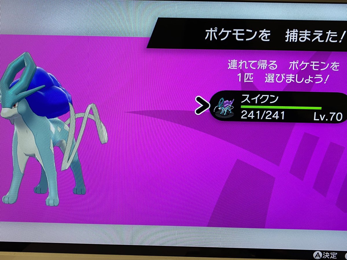 諸星travis スマ友探し やったああ スイクン光ったああーー ポケモン剣盾 色違いポケモン 色違いスイクン オシャボ 諸星travis スマ友探し やったああ スイクン光ったああーー ポケモン剣盾 色違いポケモン 色違いスイクン オシャボ