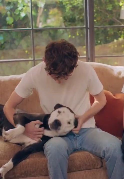 troye sivan and simon cowell as each other; a necessary thread